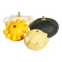 Κολοκύθα Patisson ΒΙΟ