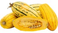 Κολοκύθα Delicata ΒΙΟ