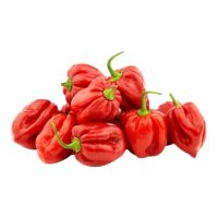 Red Habanero Peppers