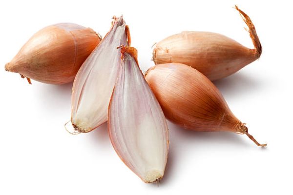 Organic Shallot Onions