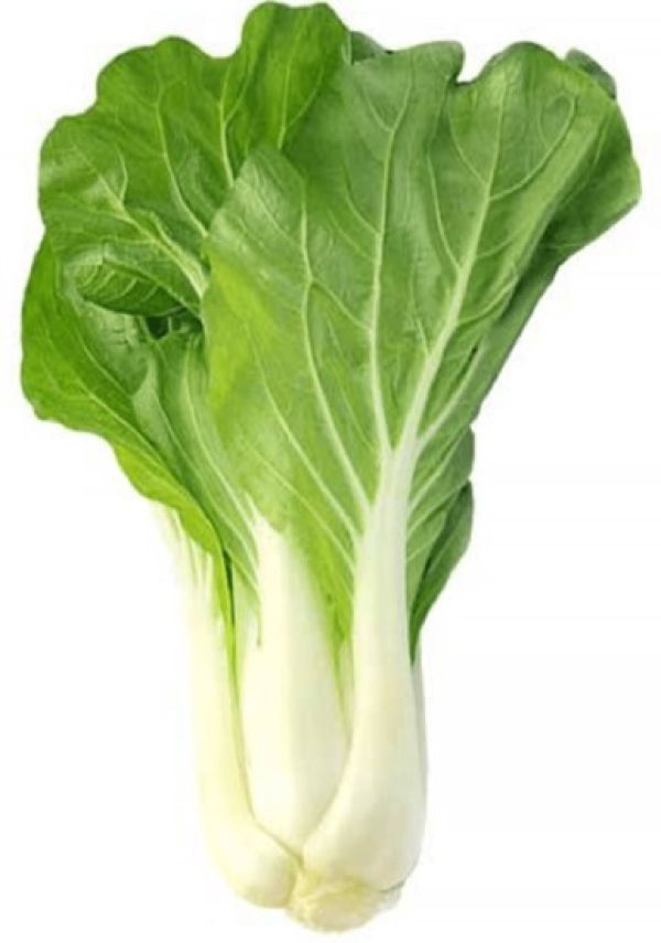 Organic Chinese Pak Choi