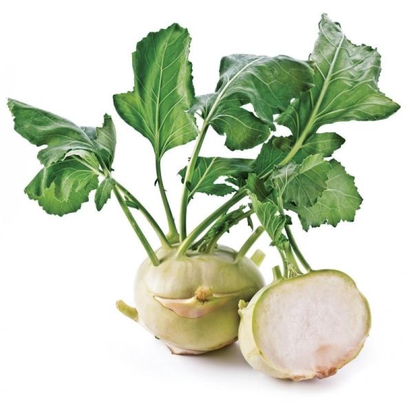Organic Kohlrabi Cabbage