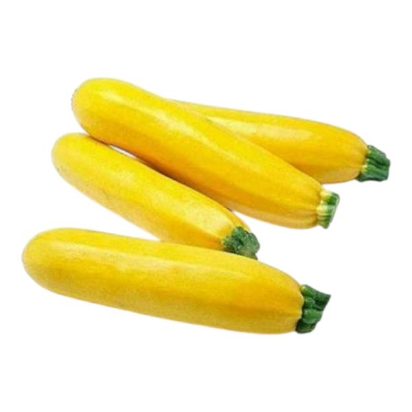 Organic Yellow Zucchini