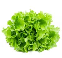 Σαλάτα Πράσινη Σγουρή BIO