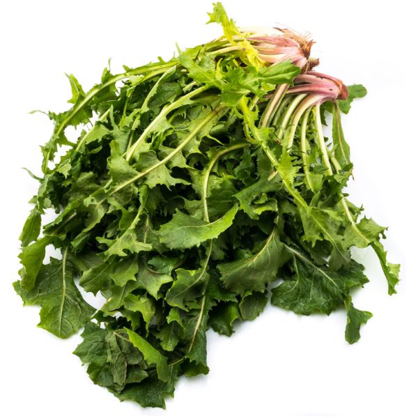 Organic Wild Dandelion Greens