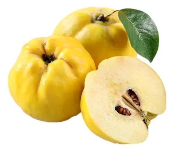 Organic Quince