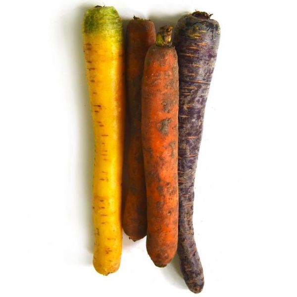 Organic Multicolor Carrots