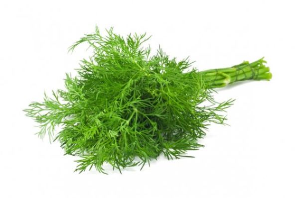 Organic Dill