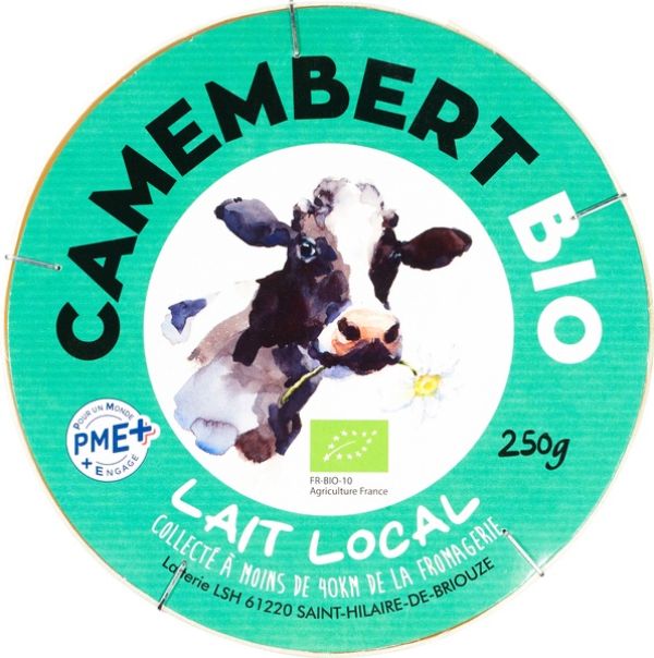Camembert Cow Milk