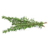 Θυμάρι ΒΙΟ