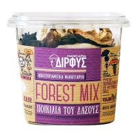 Αποξηραμένα Μανιτάρια Ποικιλία του Δάσους