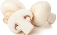 Μανιτάρια Champignon Λευκά ΒΙΟ