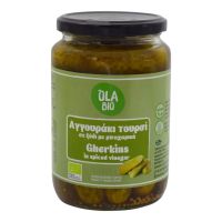 Αγγουράκι Τουρσί