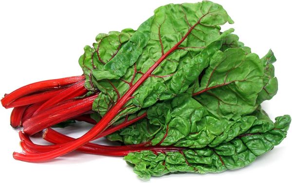 Organic Red Chard