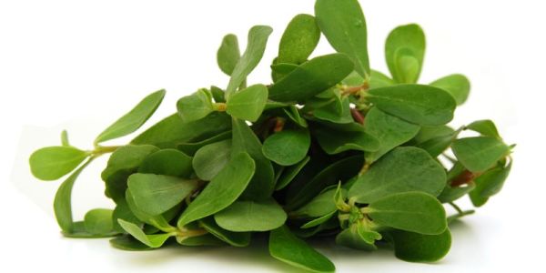 Antrakla Organic