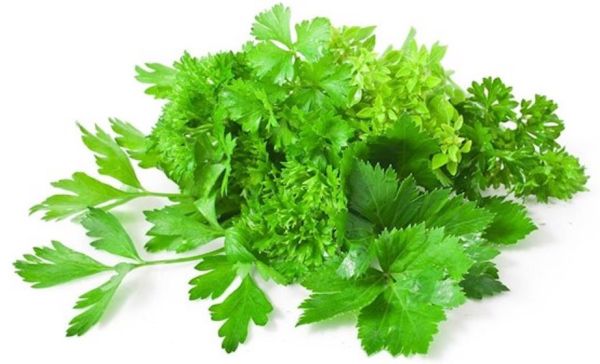 Organic Celery