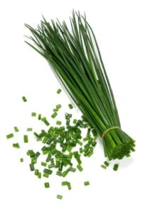 Σχοινόπρασσο BIO