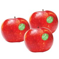 Μήλα Juliet BIO