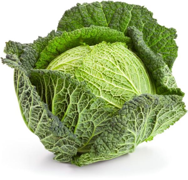 Organic Savoy Cabbage
