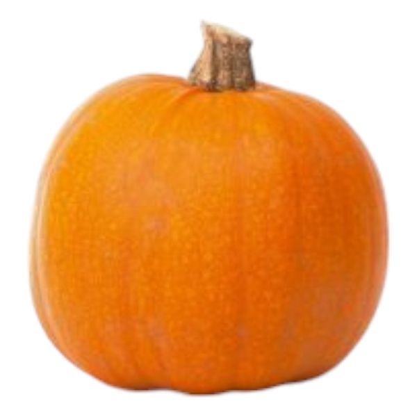 Κολοκύθα Jack O lantern ΒΙΟ