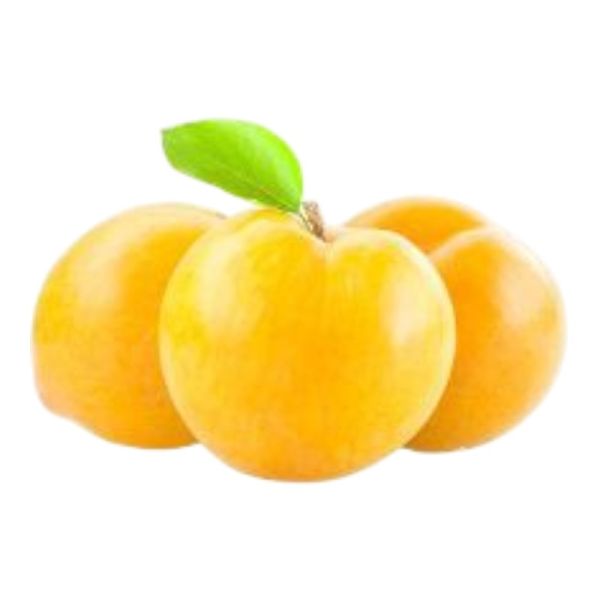 Βανίλιες Λευκές ΒΙΟ