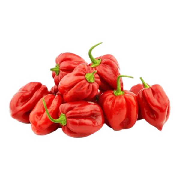 Red Habanero Peppers