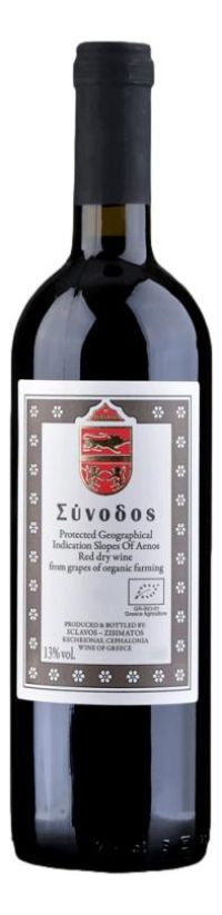 Σκλάβου Σύνοδος 2019
