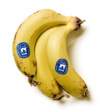 Μπανάνες Κρήτης ΒΙΟ
