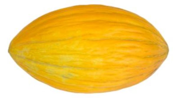 Πεπόνι Αργείτικο ΒΙΟ