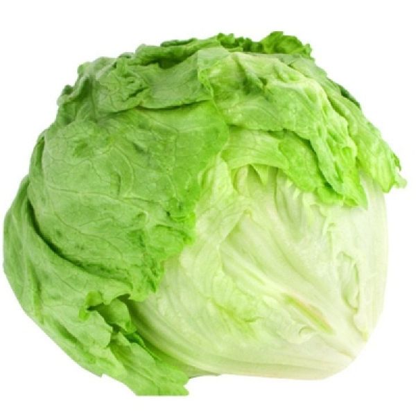 Iceberg Lettuce Organic