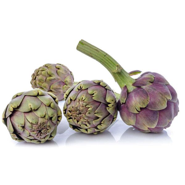 Organic Purple Artichoke