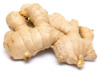 Τζίντζερ Πιπερόριζα BIO