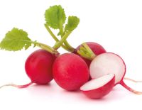 Ραπανάκια Κόκκινα ΒΙΟ