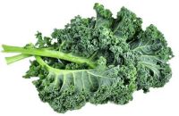 Kale BIO