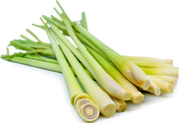 Σχοινόπρασο - Lemongrass BIO