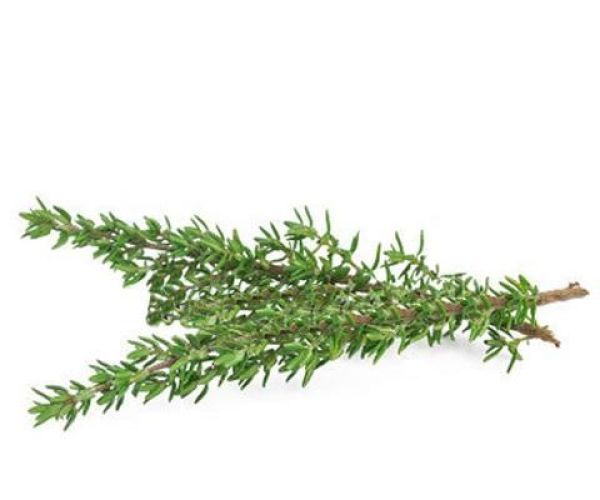 Organic Thyme