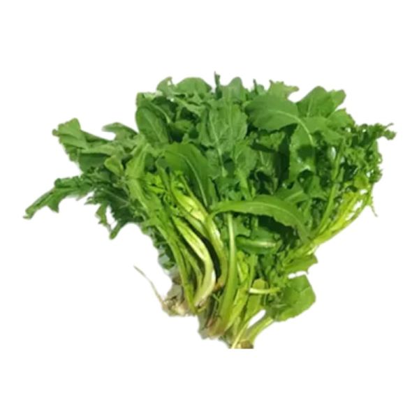 Wild Organic Radikia (1pc)