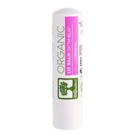 Lip Balm Dictamelia Original