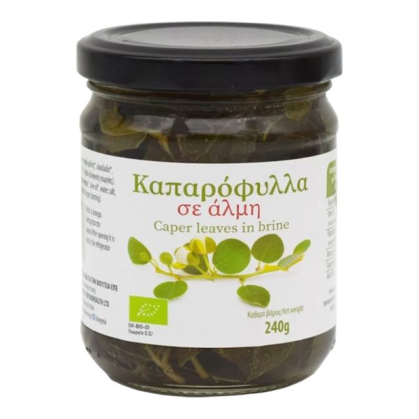 Φύλλα Κάπαρης