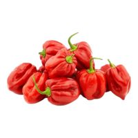 Πιπεριές Red Habanero [Συμβατικά]