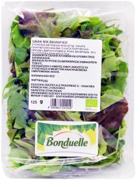 Σαλάτα Gran Mix BIO